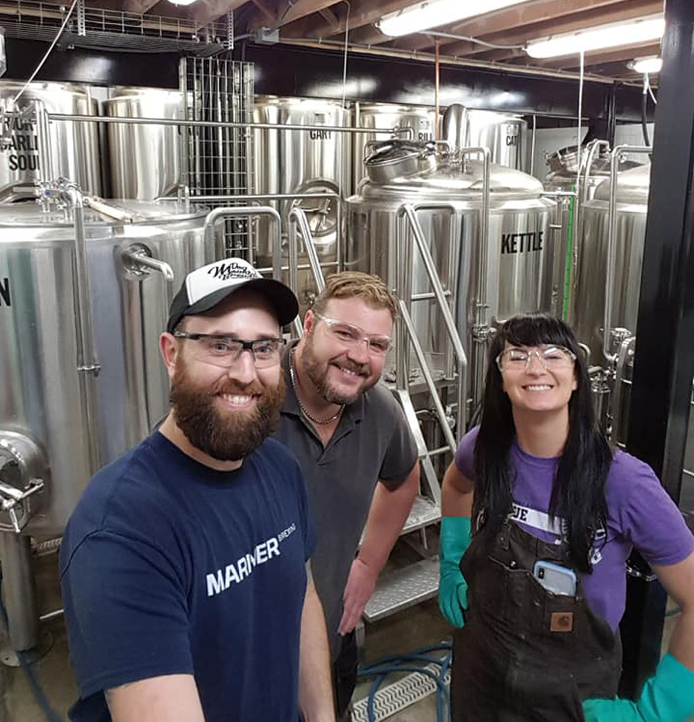 7 bbl brewing system,electric beer brewing system,micro brewery,brewery system,automated brewing system